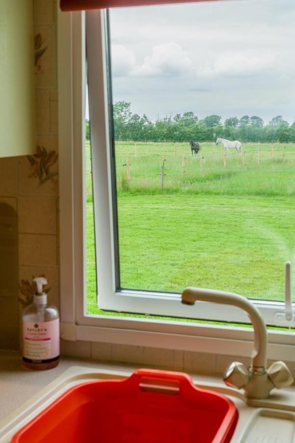 Toad Hall, Self Catering, Sleeps Four Apartment Southam (Warwickshire)